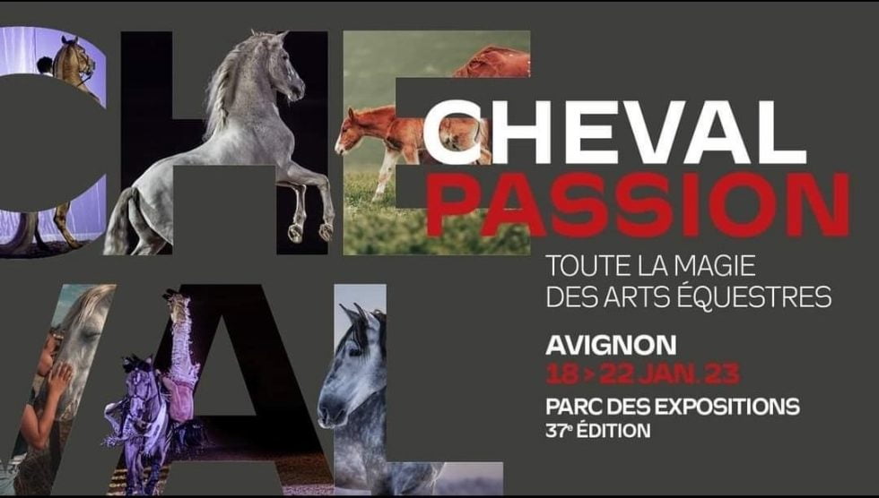 Cheval Passion 2023 Avignon - Gard 30